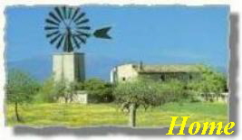  Home 