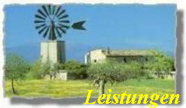  Leistungen 